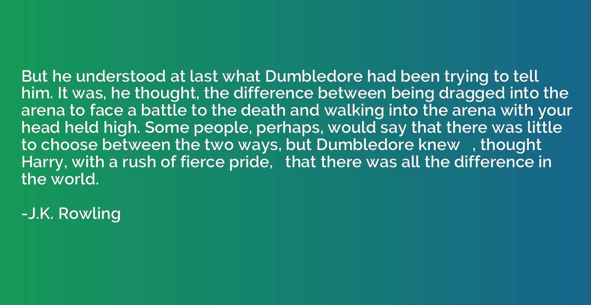 But he understood at last what Dumbledore had been trying to