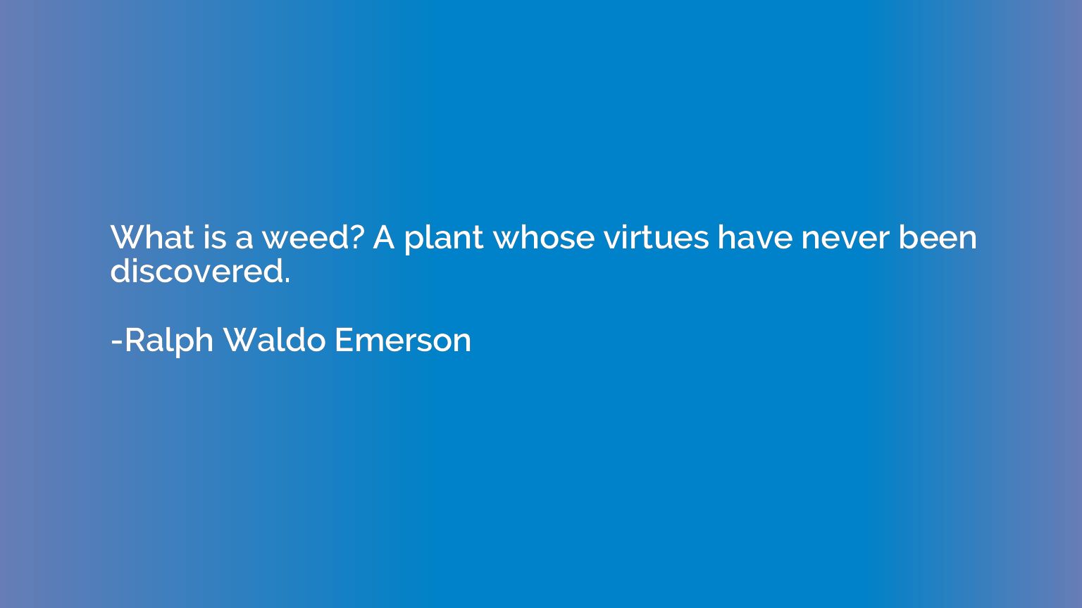 What is a weed? A plant whose virtues have never been discov