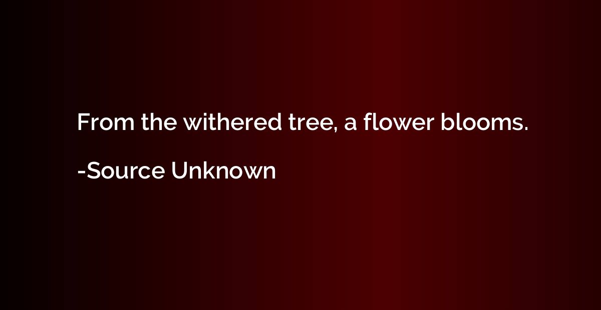 From the withered tree, a flower blooms.