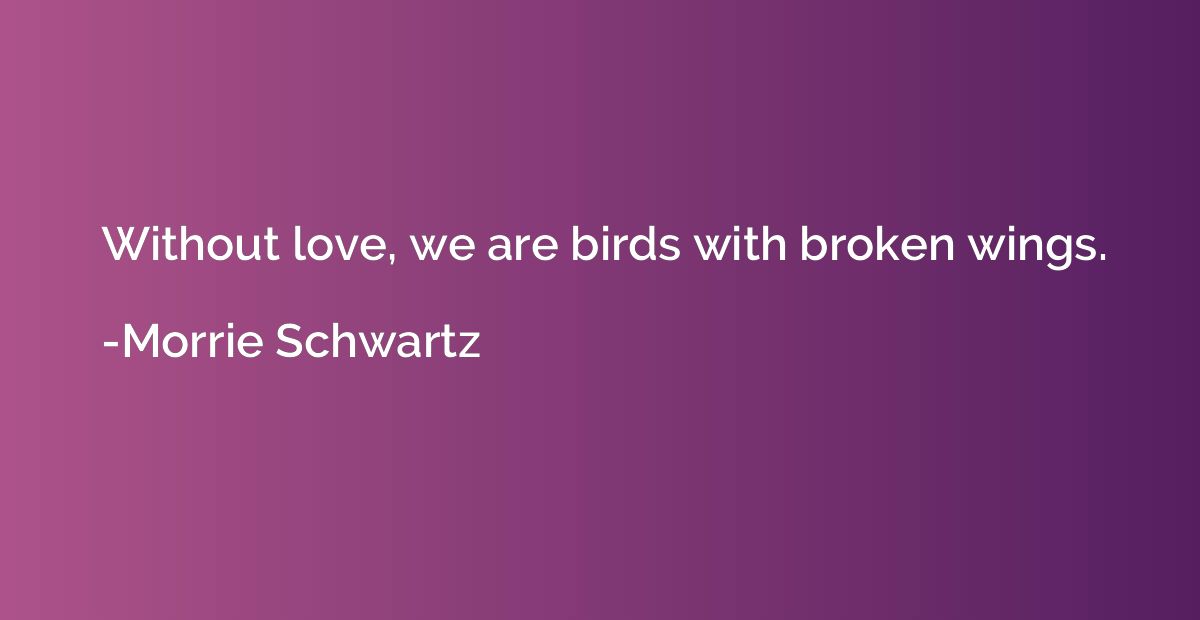 Without love, we are birds with broken wings.