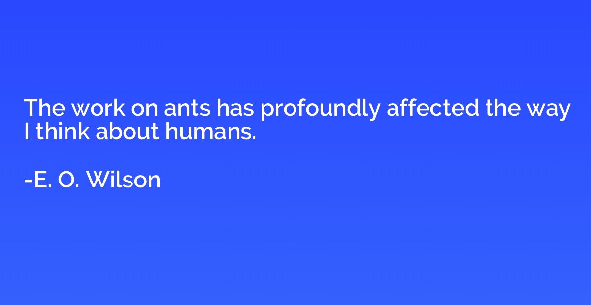 The work on ants has profoundly affected the way I think abo