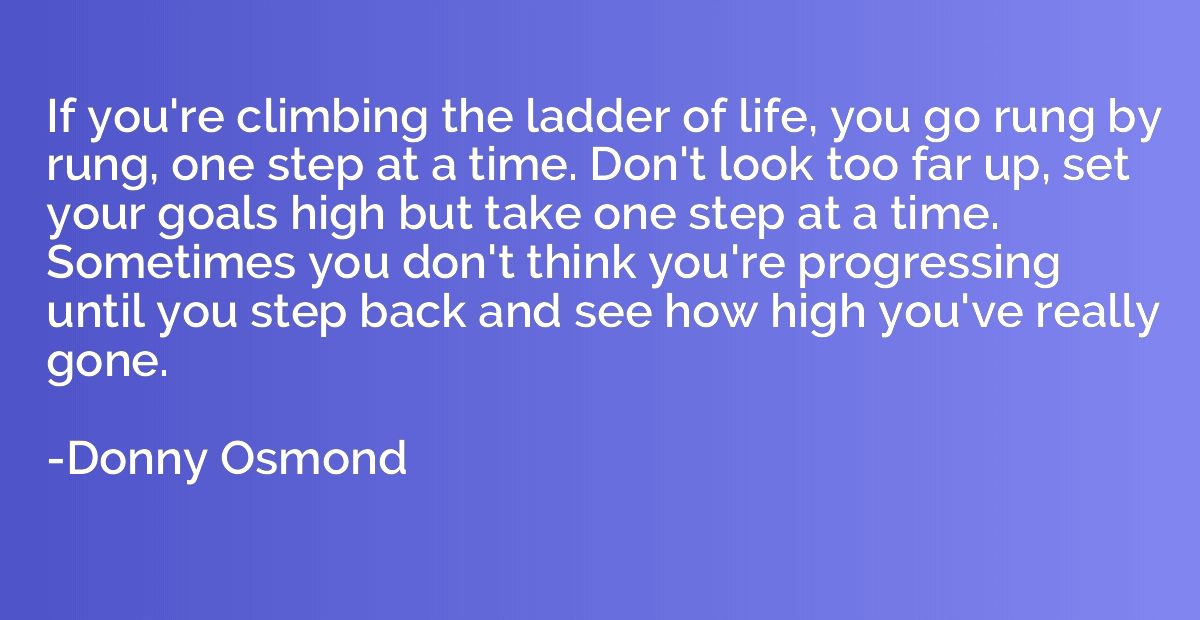 If you're climbing the ladder of life, you go rung by rung, 